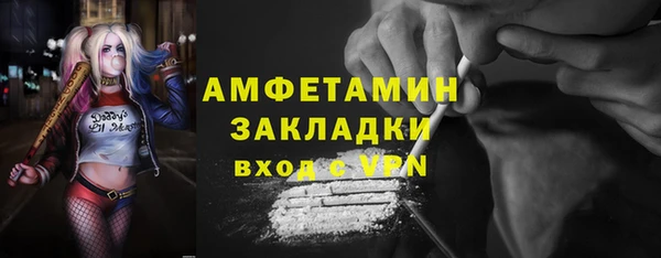 прущие грибы Надым