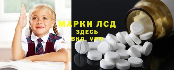 прущие грибы Надым
