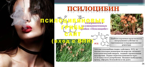 спиды Навашино