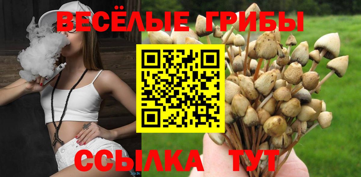 Псилоцибиновые грибы Psilocybine cubensis Людиново