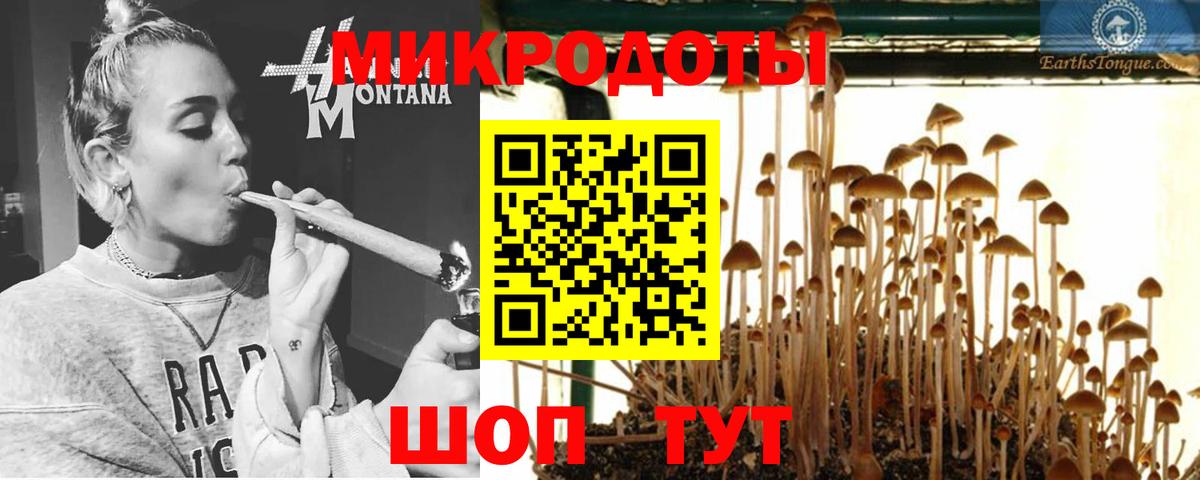 Псилоцибиновые грибы мицелий Людиново