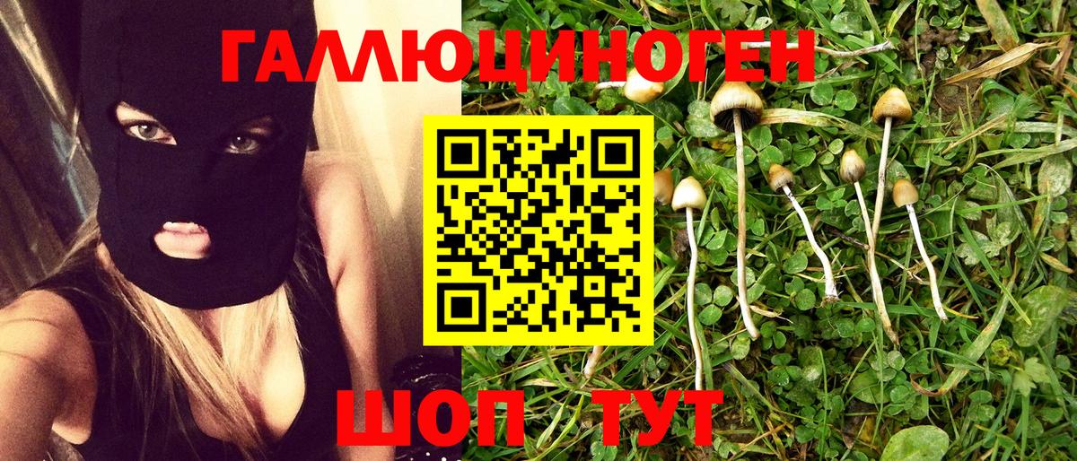Псилоцибиновые грибы Psilocybe  Людиново 